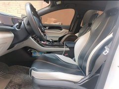 BYD Qin PLUS EV 500KM Luxury - ფოტო 11