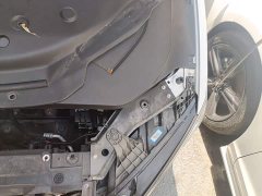 BYD Qin PLUS EV 500KM Luxury - ფოტო 20