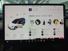 Tesla Model Y Standard Range RWD - ფოტო 11