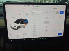 Tesla Model Y Standard Range RWD - ფოტო 12