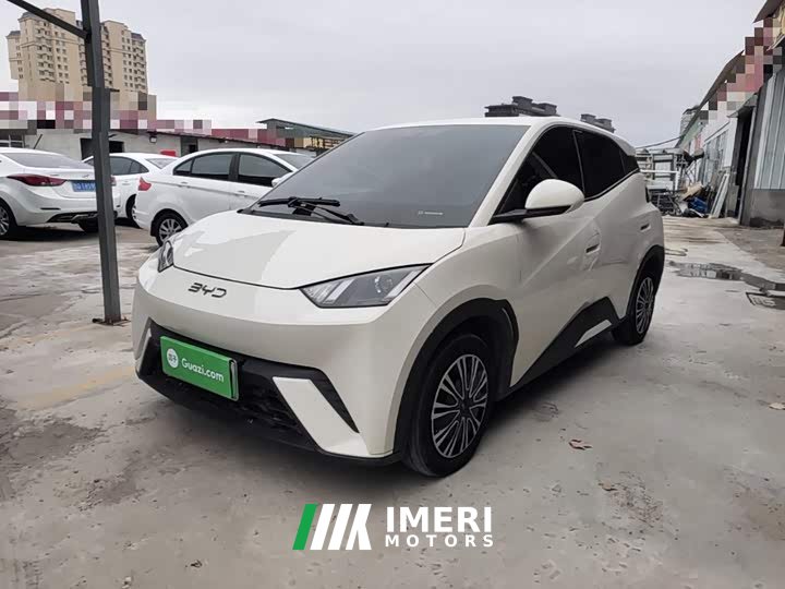 BYD Seagull Glory Edition 305km Vitality Version - ავტომობილი ჩინეთიდან