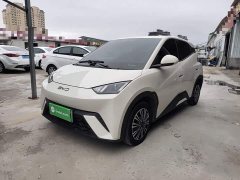 BYD Seagull Glory Edition 305km Vitality Version - ფოტო 1