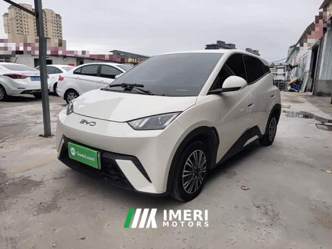 2024 BYD Seagull Glory Edition 305km Vitality Version