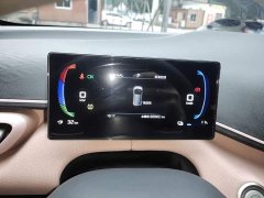 BYD Seagull Glory Edition 305km Vitality Version - ფოტო 11