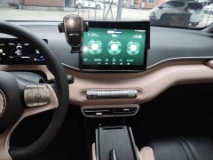 BYD Seagull Glory Edition 305km Vitality Version - ფოტო 12