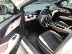 BYD Seagull Glory Edition 305km Vitality Version - ფოტო 15