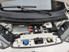 BYD Seagull Glory Edition 305km Vitality Version - ფოტო 19