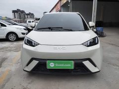 BYD Seagull Glory Edition 305km Vitality Version - ფოტო 2
