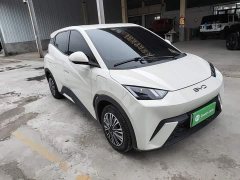 BYD Seagull Glory Edition 305km Vitality Version - ფოტო 3
