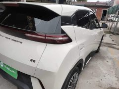 BYD Seagull Glory Edition 305km Vitality Version - ფოტო 7