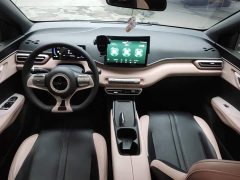 BYD Seagull Glory Edition 305km Vitality Version - ფოტო 9