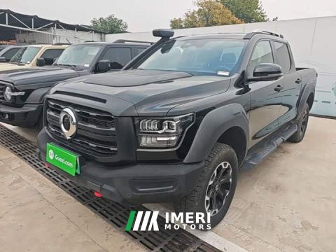2025 Great Wall Shanhai Pao Hi4-T Performance Edition