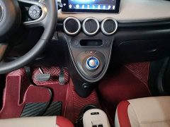 ORA Black Cat 351km Luxury - ფოტო 13