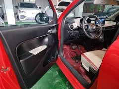 ORA Black Cat 351km Luxury - ფოტო 15