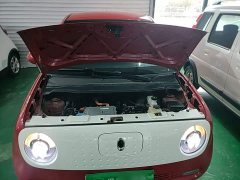 ORA Black Cat 351km Luxury - ფოტო 19