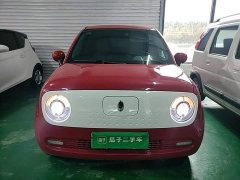 ORA Black Cat 351km Luxury - ფოტო 2