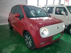 ORA Black Cat 351km Luxury - ფოტო 3