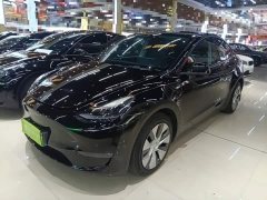 Tesla Model Y Standard Range RWD - ფოტო 1