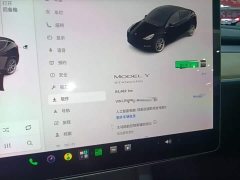 Tesla Model Y Standard Range RWD - ფოტო 11