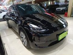 Tesla Model Y Standard Range RWD - ფოტო 3