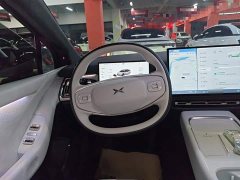 Xpeng P7 Long Range Max - ფოტო 10