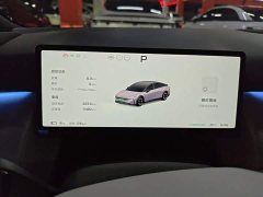 Xpeng P7 Long Range Max - ფოტო 11
