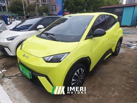 2024 BYD Seagull Glory Edition 305km Vitality Version