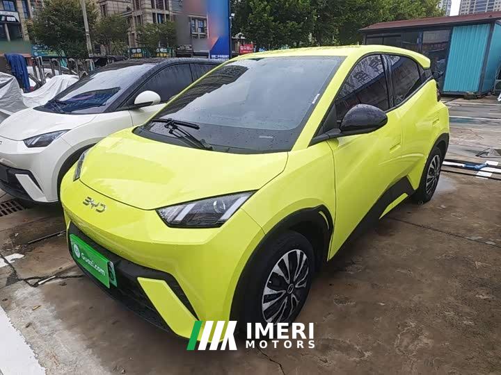 BYD Seagull Glory Edition 305km Vitality Version