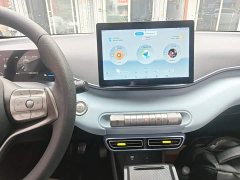 BYD Seagull Glory Edition 305km Vitality Version - ფოტო 13
