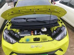 BYD Seagull Glory Edition 305km Vitality Version - ფოტო 19