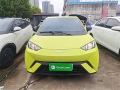 BYD Seagull Glory Edition 305km Vitality Version - ფოტო 2