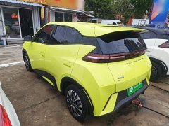 BYD Seagull Glory Edition 305km Vitality Version - ფოტო 4