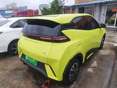 BYD Seagull Glory Edition 305km Vitality Version - ფოტო 6