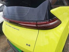 BYD Seagull Glory Edition 305km Vitality Version - ფოტო 7