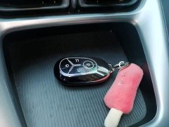 Geely Star Wish 310km Youth Edition - ფოტო 8