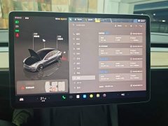 Tesla Model 3 Rear-Wheel Drive - ფოტო 11
