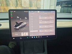 Tesla Model 3 Rear-Wheel Drive - ფოტო 12