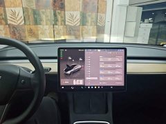 Tesla Model 3 Rear-Wheel Drive - ფოტო 9