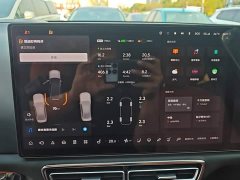 Li Auto L8 Pro - ფოტო 11