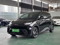 BYD Seagull Freedom Edition - ფოტო 1