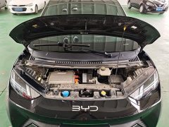 BYD Seagull Freedom Edition - ფოტო 19