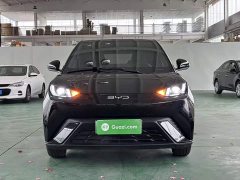 BYD Seagull Freedom Edition - ფოტო 2