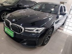 BMW 5 Series 530Li Luxury M Sport Package - ფოტო 1