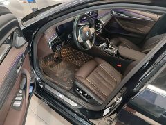 BMW 5 Series 530Li Luxury M Sport Package - ფოტო 15