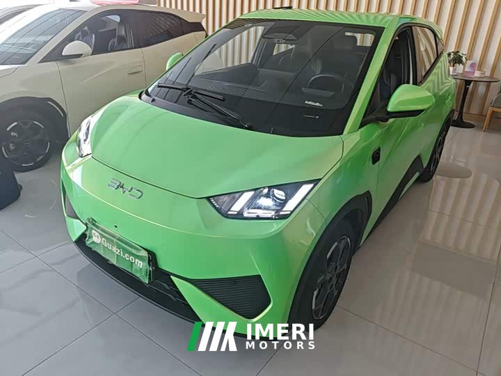 BYD Seagull Smart Driving Edition 305km Freedom Edition