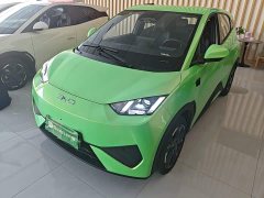 BYD Seagull Smart Driving Edition 305km Freedom Edition - ფოტო 1