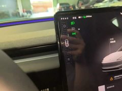 Tesla Model 3 Rear-Wheel Drive - ფოტო 13