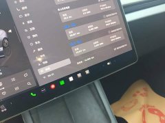 Tesla Model 3 Rear-Wheel Drive - ფოტო 11