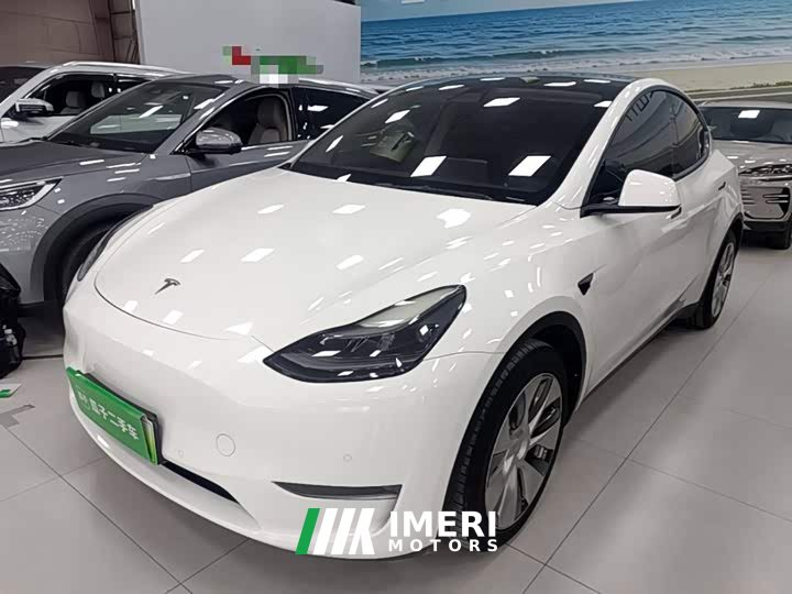 Tesla Model Y Standard Range RWD - ავტომობილი ჩინეთიდან