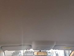 BYD Destroyer 05 Glory Edition DM-i 55KM Luxury - ფოტო 17